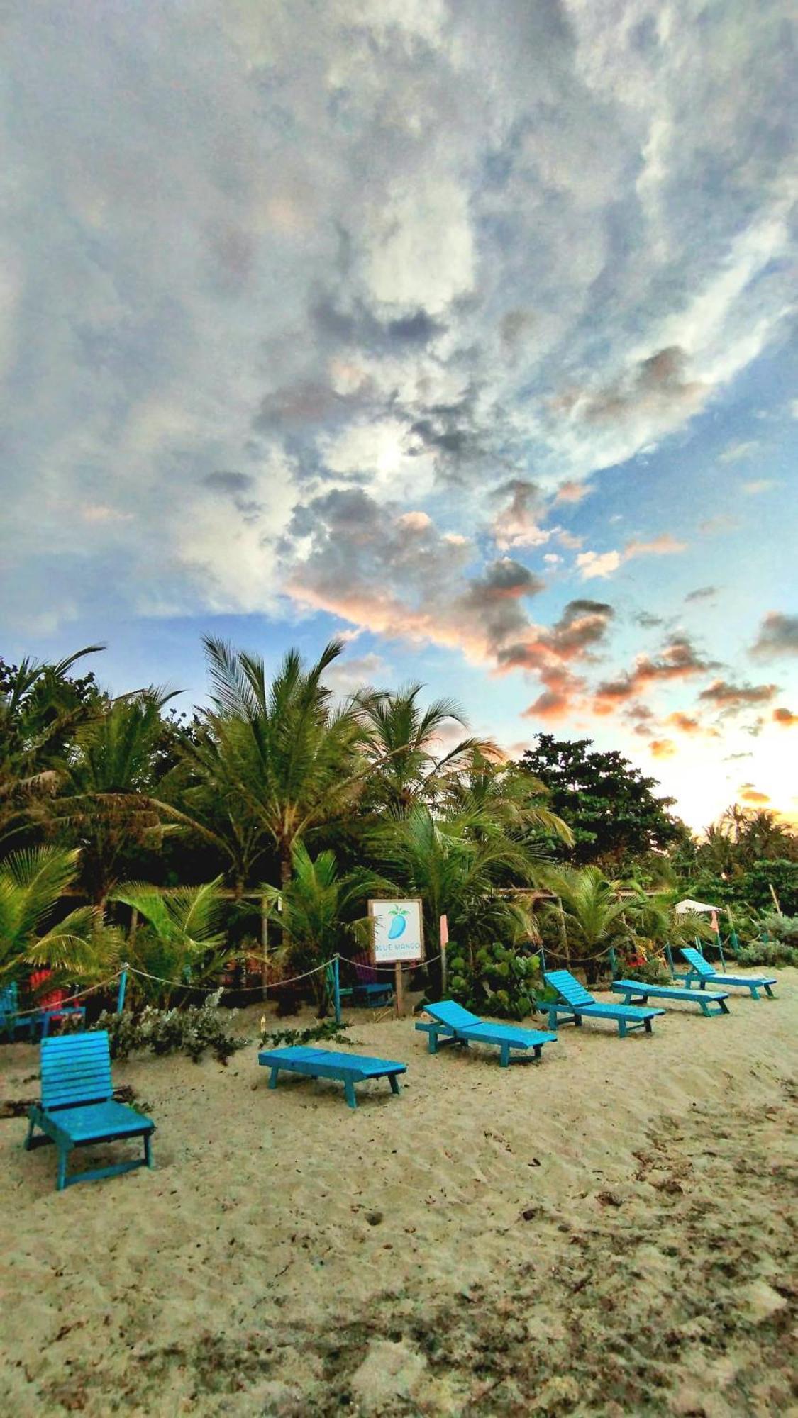 Blue Mango Beach Hotel Guachaca Ngoại thất bức ảnh